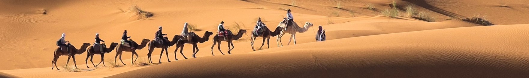 Morocco camel trekking